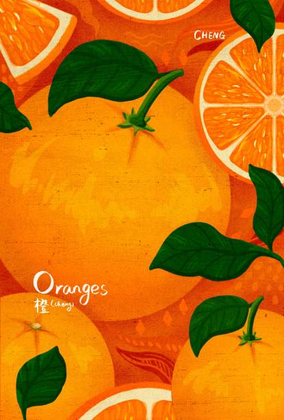 原创水果之橙子图片下载