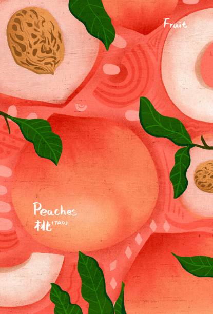 原创水果之水蜜桃图片下载