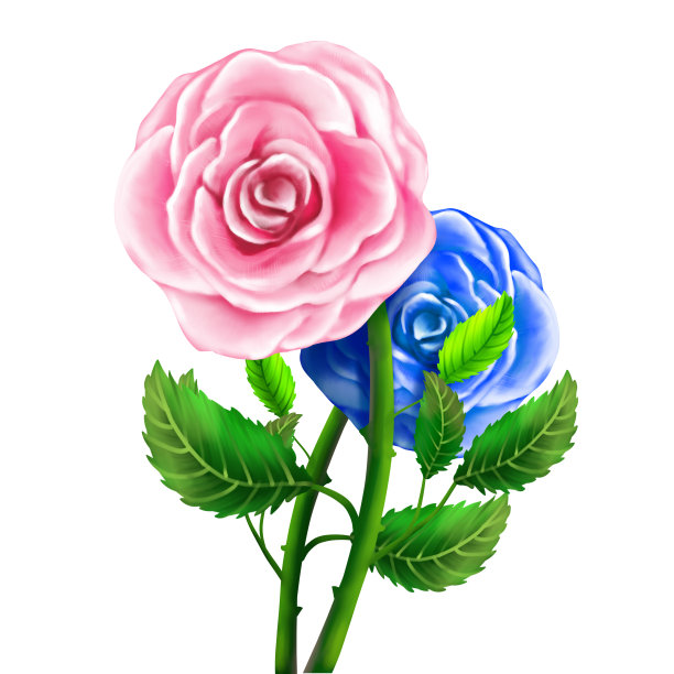 原创一只粉色蓝色玫瑰图片下载