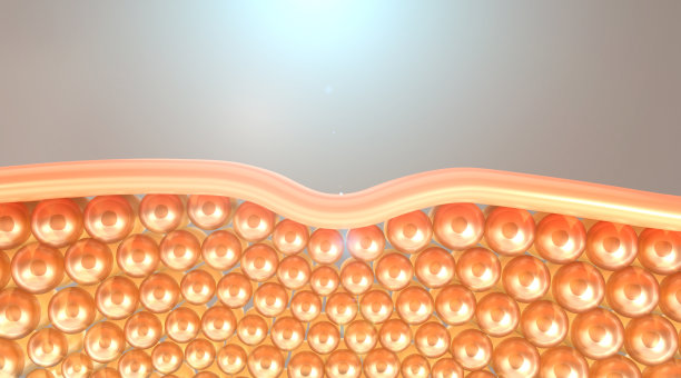 3d皮肤细胞显微镜下，皮肤松弛的皮肤细胞，皮肤层向上。图片下载