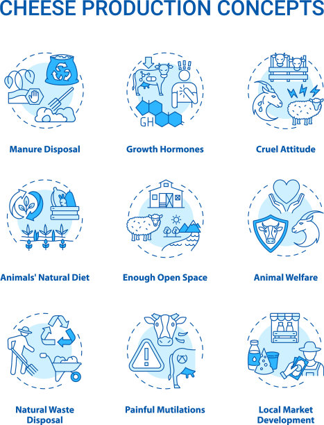 乳业绿松石概念图标集图片下载