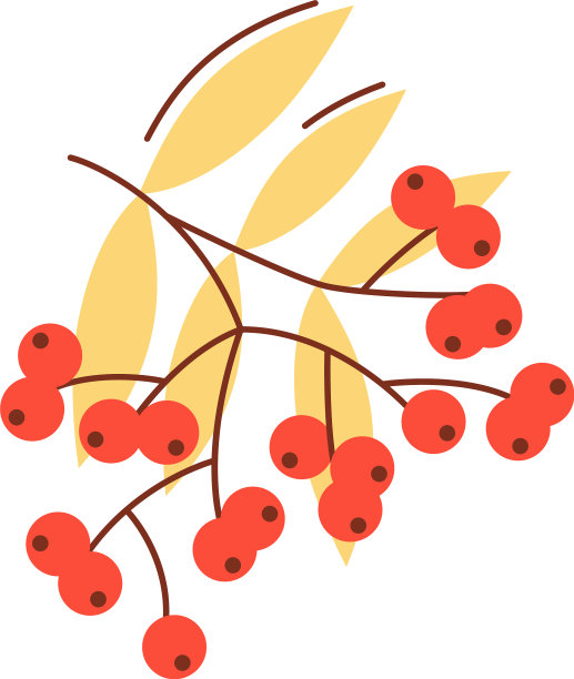 月桂果在秋季扁平抽象元素图片下载