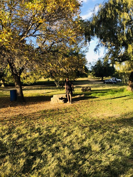 不动。图片下载