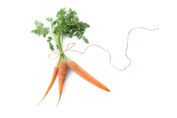 新鲜的胡萝卜用绳子绑在白色的背景上图片下载