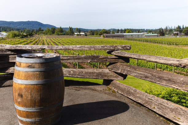 酒桶酿酒厂的木桶图片下载