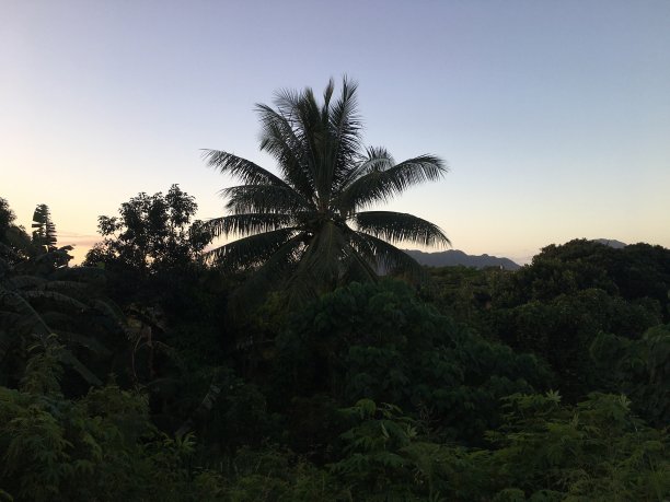 夏威夷考艾岛里休冬天的日出。图片下载