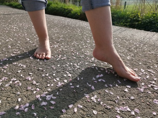 在一个阳光明媚的春天早晨，女人的脚赤脚跑过一片粉红色的树叶海洋图片下载