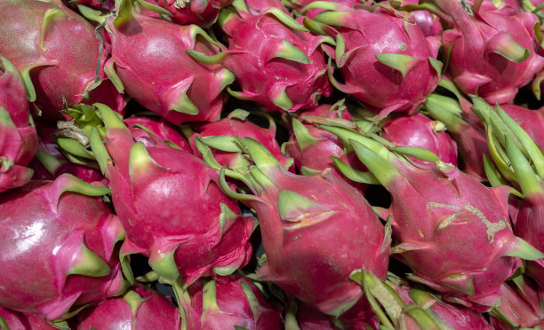 市场摊位上的新鲜火龙果图片下载