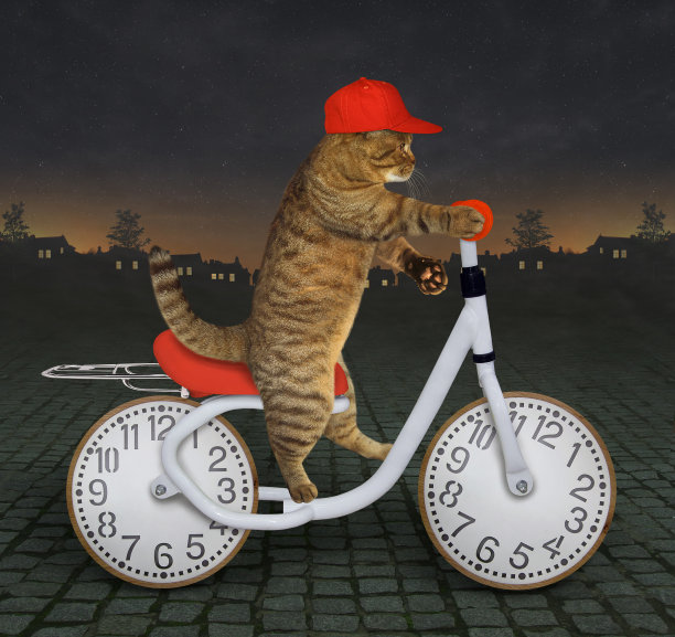 猫晚上在路上骑自行车图片下载