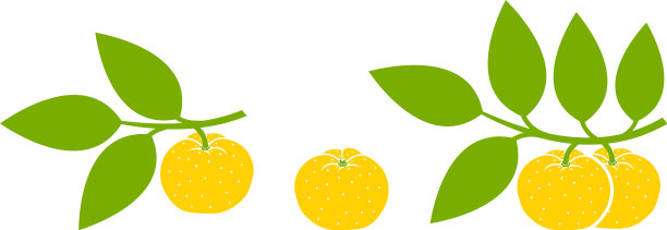 柚子果图片下载
