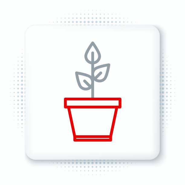 植株在盆内，图标孤立在白色上图片下载