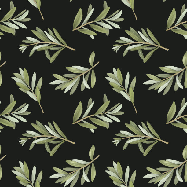 无缝模式的绿色橄榄树的树枝，手绘插图在黑暗的背景图片下载