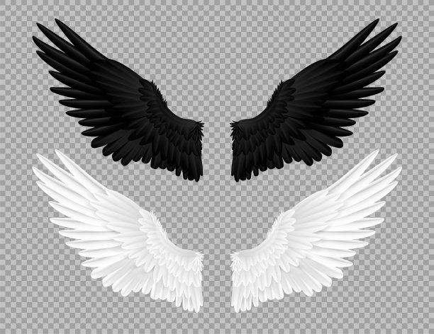 黑与白天使翅膀天鹅和乌鸦图片下载