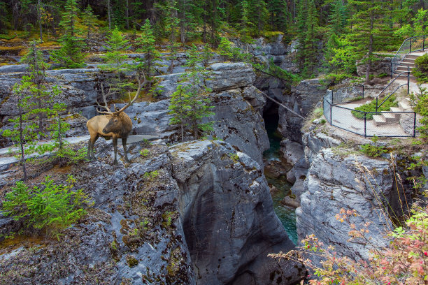 观景台图片下载