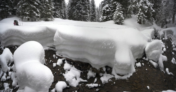 雪岸上的春江图片下载