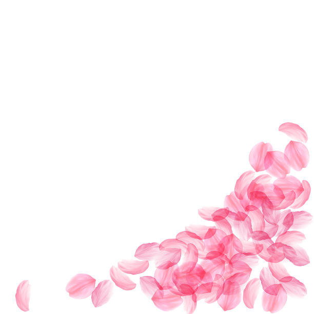 樱花花瓣飘落浪漫的粉红丝碧图片下载