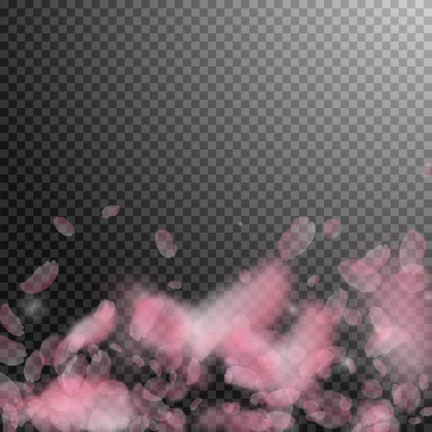 樱花花瓣飘落，浪漫的粉红色花朵图片下载