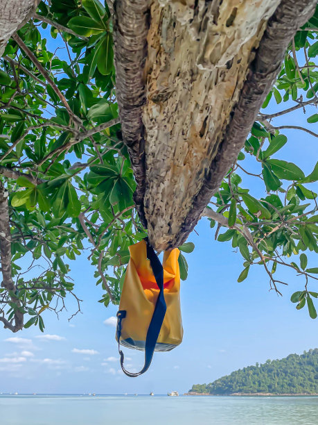 鲜艳的黄色防水包挂在树上，以模糊的大海、岛屿和蓝天为背景，为夏季和旅游概念。图片下载