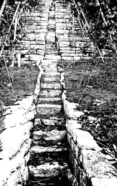 陡峭的葡萄园楼梯之间的葡萄园墙由天然石材在黑色和白色图片下载