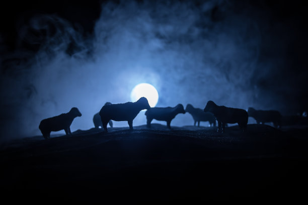 农场里的羊。农场(村)生活理念。晚上装饰玩具人物。有选择性的重点图片下载