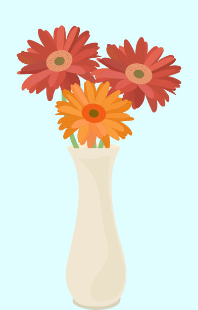 白花瓶里的非洲菊图片下载