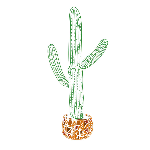 仙人掌。亚利桑那州-美国西南部，墨西哥。矢量插图。图片下载