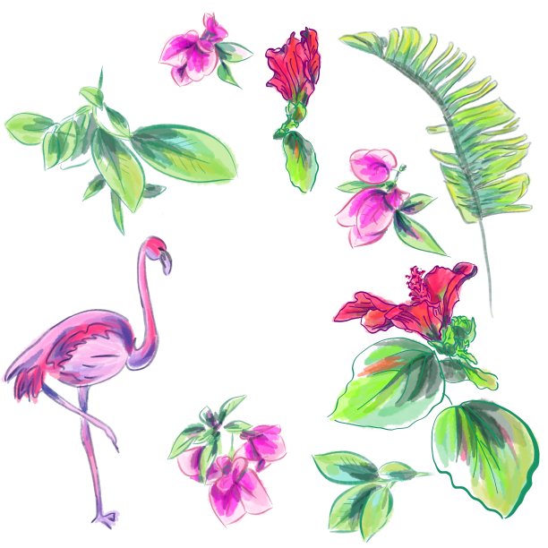 水彩矢量3d热带插图集图片下载
