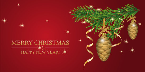 圣诞背景用冷杉树枝装饰的小玩意图片下载