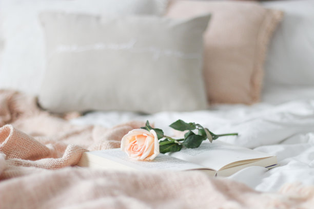 明亮的白色卧室与单玫瑰和一本书，拷贝空间图片下载