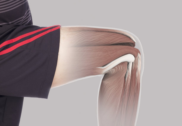 x射线肌肉拉伤图片下载