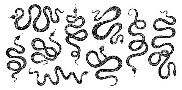 矢量集蛇与民族装饰。蛇形轮廓与北欧的动机，图腾动物蛇图形元素为标志图片下载