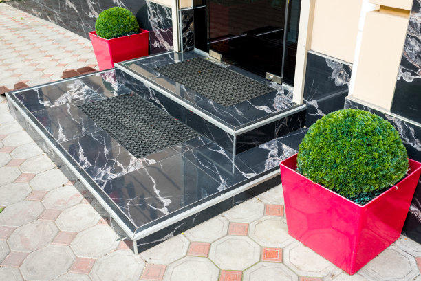 黑色大理石台阶，红色花瓶中的灌木图片下载