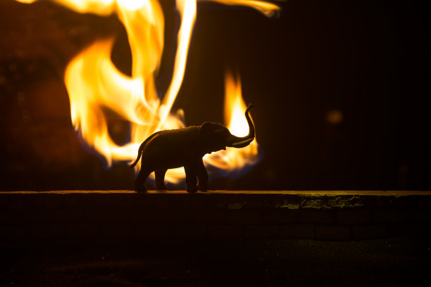 一个小象的剪影站在雾蒙蒙的夜晚。创意桌子装饰与彩色背光与雾。图片下载