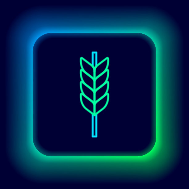 发光的霓虹灯线谷物设置与大米，小麦，玉米，燕麦，黑麦，大麦图标孤立在黑色的背景。小麦穗是面包的象征。色彩斑斓的轮廓的概念。向量图片下载