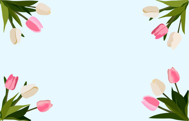 明信片和郁金香图片下载