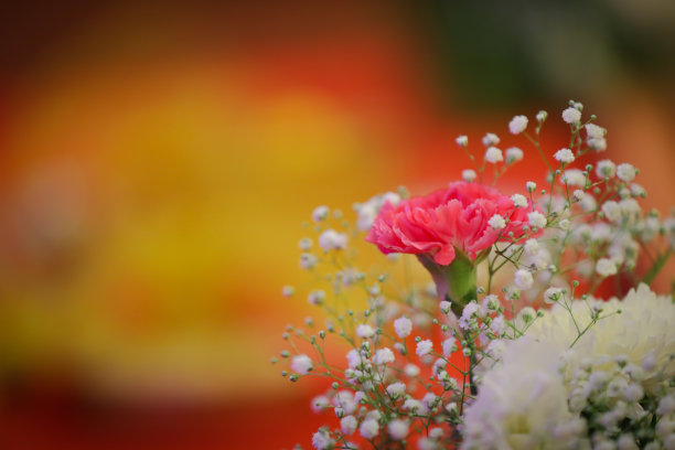 舞台花卉装饰图片下载