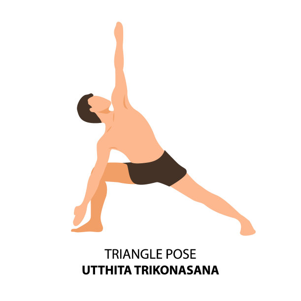 人练习瑜伽姿势孤立矢量插图。男子站在三角姿势或乌提塔三角体式，瑜伽体式图标图片下载