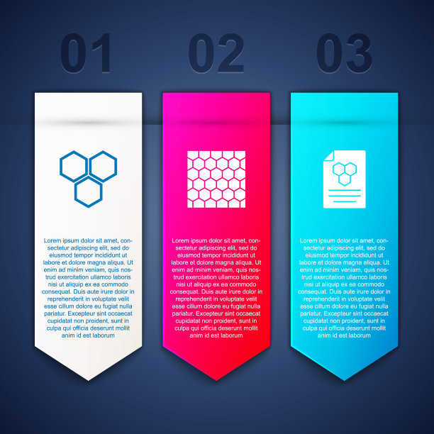 设置蜂巢，和。业务信息模板。向量图片下载