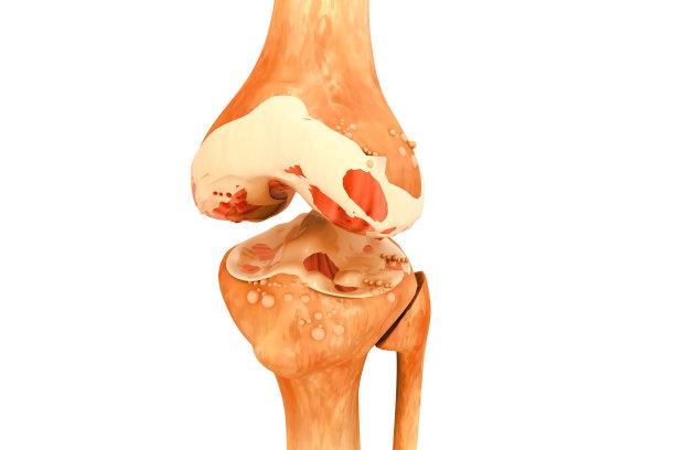 人体膝关节的解剖学。三维演示图片下载