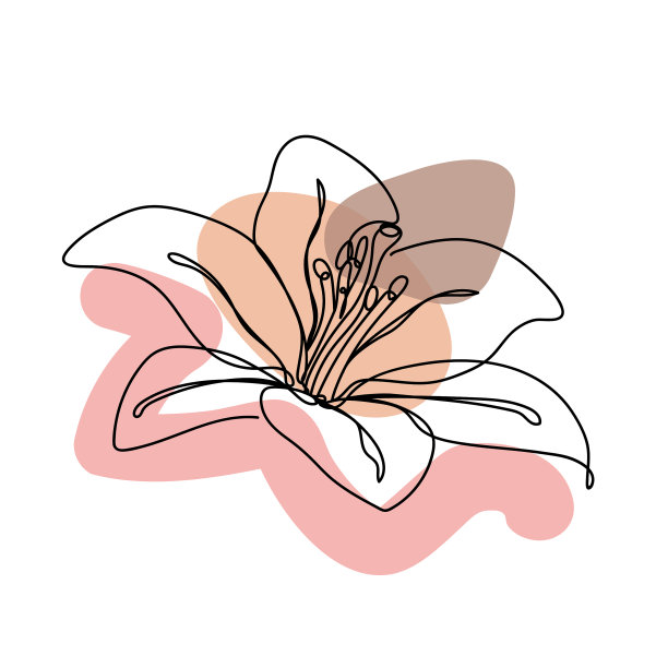 花在白色背景上的线性风格图片下载