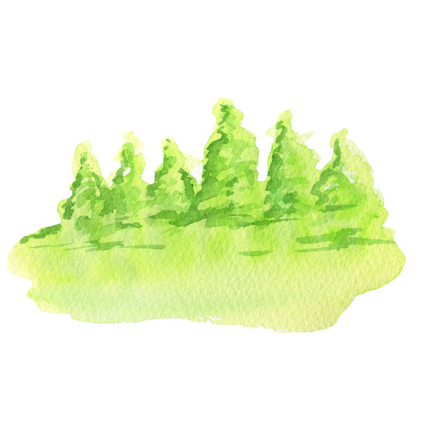 水彩森林尝试和绿草景观，手绘插图孤立在白色背景。图片下载