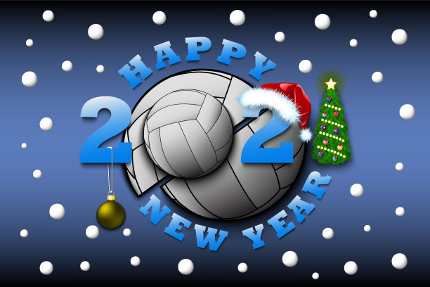 2021年新年快乐，还有排球图片下载
