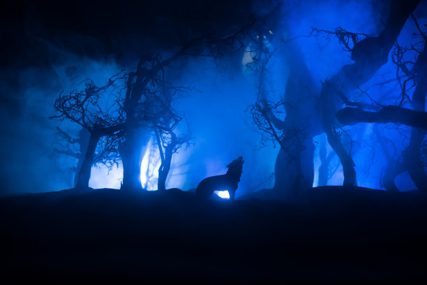 在满月和死林的地平线上，狼嚎的剪影。创意艺术品装饰。图片下载