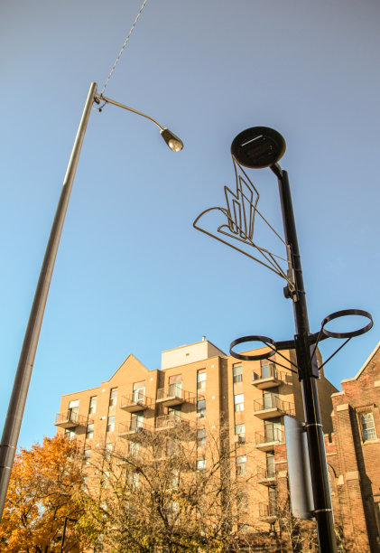 多伦多东约克社区地区的景观。这张照片于2021年3月9日在纽约东部拍摄图片下载