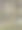 羊毛挂在树枝上图片下载