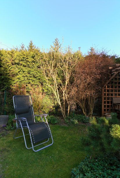 春天花园的草坪上，黑色的日光浴床图片下载