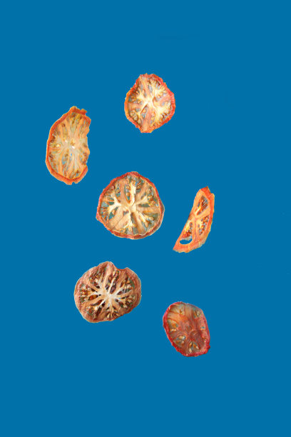 在蓝色背景下分离的干番茄片。飞食品的概念图片下载