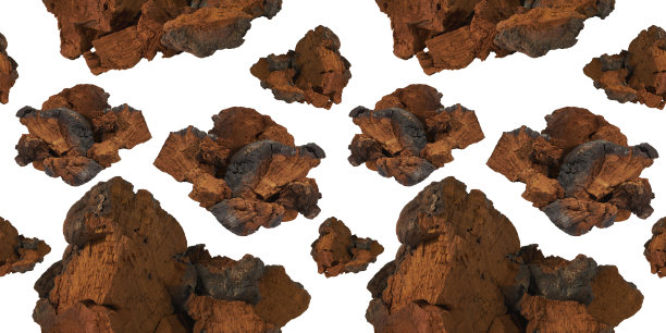 无缝模式的自然查加蘑菇片上的白色背景。图片下载