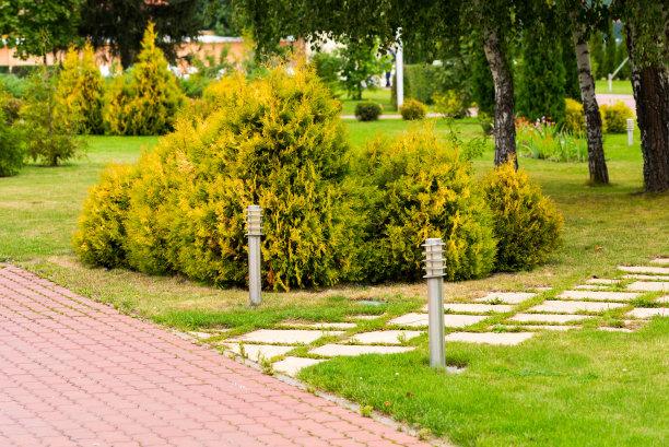 公园里的绿色花坛，铺着瓷砖图片下载