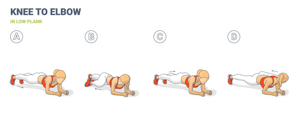 女性家庭平板支撑中膝盖到肘部的练习图片下载